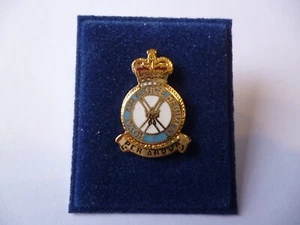 ROYAL AIR FORCE REGIMENT LAPEL BADGE. - Picture 1 of 1
