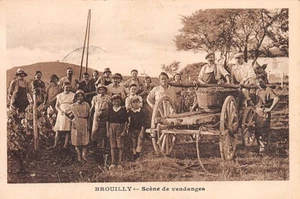 69-BROUILLY-N�T2560-A/0087 - Picture 1 of 2