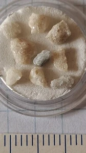 CRISTALLI DI QUARZO CON TRACCE DI ORO PURO PROVENIENZA ALASKA GR.0,25 - Imagen 1 de 4