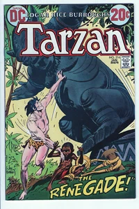 TARZÁN #216 - 5.5 - WP - Kubert - Imagen 1 de 2