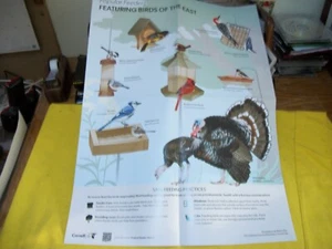 Cornell Lab Poster - Feeders of Eastern & Western U.S. - 22 x 17 - NEU POSTFRISCH - Bild 1 von 3