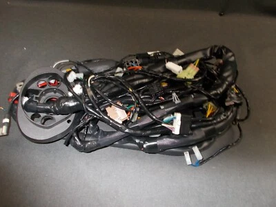NEW GENUINE PIAGGIO X9 125 evo  1998- 2005  MAIN WIRING LOOM 584403 - Image 1 of 2