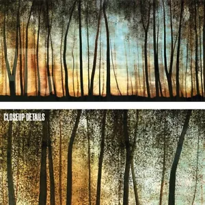 48W"x24H" GOLDEN FOREST by CAROLYN REYNOLDS - TREE TRUNKS SUN CHOICES of CANVAS - Picture 1 of 9