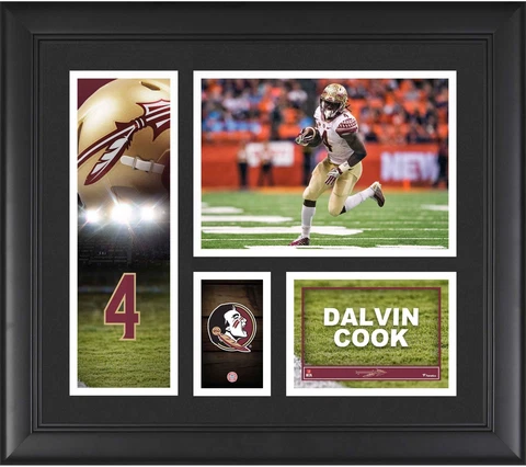Dalvin Cook Seminoles Framed 15x17 Player Collage - Fanatics Cover