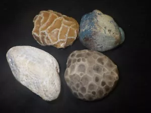 Mix Michigan Stones, Petoskey Stone e Leland Blue e altro - Foto 1 di 6