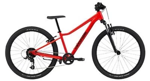 Cannondale Kids Trail 24 Front Suspension Mountain Bike - Picture 1 of 18