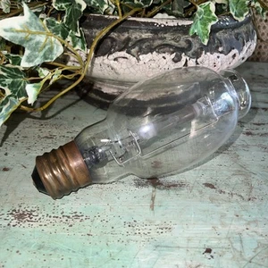 Antique Vintage Large 8.5" Light Bulb JFMAMJJASOND WORKS - Picture 1 of 10