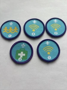 Five Scout Badges. Activity.  - Picture 1 of 2