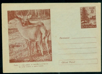 1956 Red Deer/Stag and hind,Forest month,Pine tree,mountains,Romania,cover/Brown - Image 1 of 2