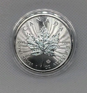2025 Canada $5 Silver Maple Leaf Coin .9999 Pure 1 oz Fine Silver Bullion - Bild 1 von 2