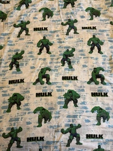 Cómics de Marvel de The Incredible Hulk 2003 de Universal Studios hoja plana doble - Imagen 1 de 2