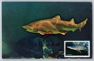 #5713n National Marine Sanctuaries Sand Tiger Shark Maxi Card Pre-Issue Cancel! - Picture 1 of 2