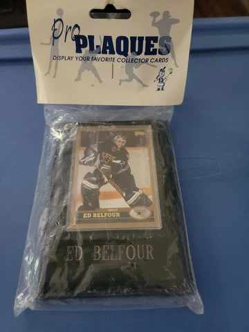 Dallas Stars Ed Belfour NHL Pro Plaque Hockey Card  Wood Frame, New Cover