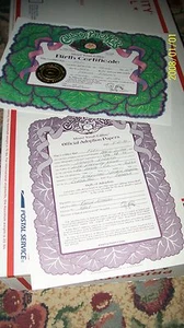 xavier CABBAGE PATCH SCULPTURE BIRTH CERT/ADOpt MOUNT YONAH SPECIAL ED FIFI 95 - Bild 1 von 2