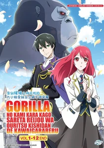 DVD The Gorilla God's Go-To Girl Vol.1-12 END English Dubbed All Region FREESHIP - Picture 1 of 5