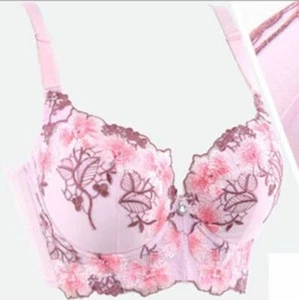 New Lingerie Printing Floral Push Up Bra 4 Hooks Wide Back Strap Embroidery Bra - Picture 1 of 40