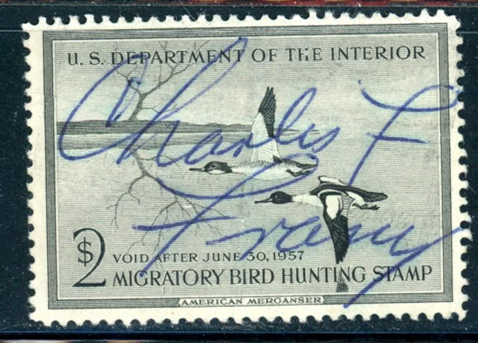 US Duck Scott # RW23 - Used - Signed - Image 1 of 1
