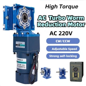 60W AC 220V Two Stage Worm Gear Reducer Gearbox Motor Gearmotors 0.1RPM to 5RPM - Picture 1 of 16
