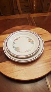 Platos de cena y almuerzo abundancia (Corelle) de CORNING UN JUEGO DE 4 PLATOS cada uno - Imagen 1 de 6