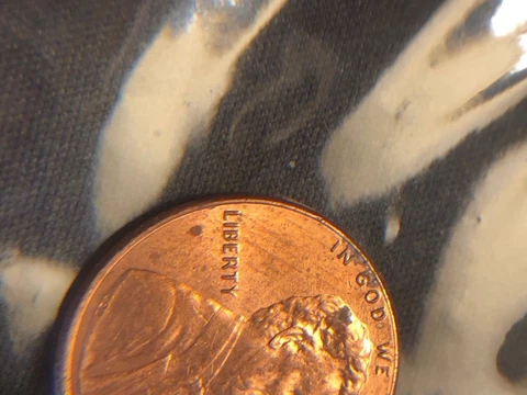2013 no mint mark,Trails,Thumb print on Obverse*** Cover