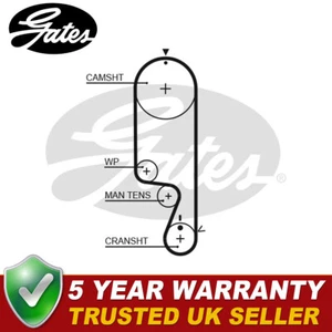 Gates Timing Belt Fits Chevrolet Matiz Aveo Daewoo Matiz Kalos 1.0 1.2 - 5535XS - Picture 1 of 6