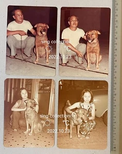 Foto a color vintage de hombre chino en el extranjero dama y perro x 4 - Imagen 1 de 2
