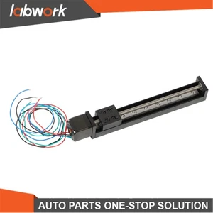 Labwork T6×1 150mm Mini Linear Guide Rail Slide Stage Actuator Screw Motion - Picture 1 of 16