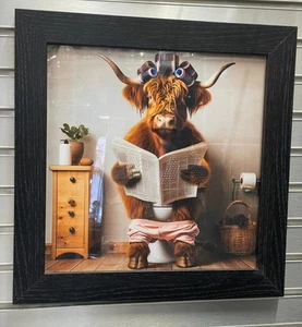 Highland cow sitting on a toilet with rollers, newpaper & black frame pictures - Picture 1 of 13