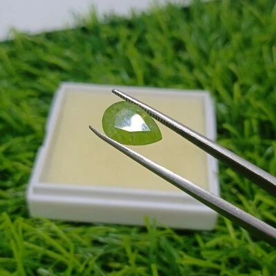3.6 Carats Pear Shape Brilliant Cut Green Color Natural Peridot Gemstone - Image 1 of 4