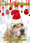 English Setter Dog ptcc143 Santa Hat Christmas Card A5 Personalised Greeting