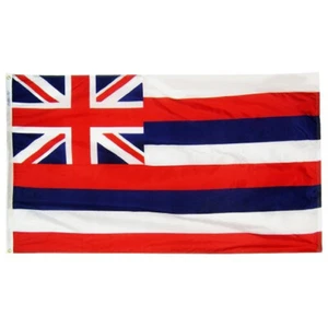 Hawaii Annin Flagmakers State Nylon Flag Indoor Outdoor All Sizes - Picture 1 of 14