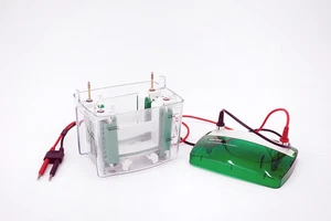 Bio-Rad Mini PROTEAN Tetra Cell 552BR 600VDC Vertical Electrophoresis System - Picture 1 of 1