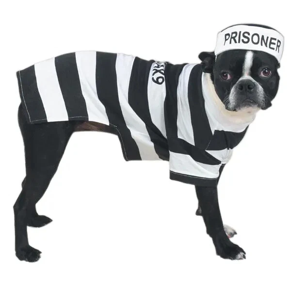 Disfraz de Perro Perro Perro Perro Perro Casual Canino Halloween XS-XL Aterrador Lindo Rayas Nuevo Foto 1 de 1