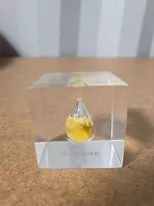 Texas Gold Paper Weight - Picture 1 of 6