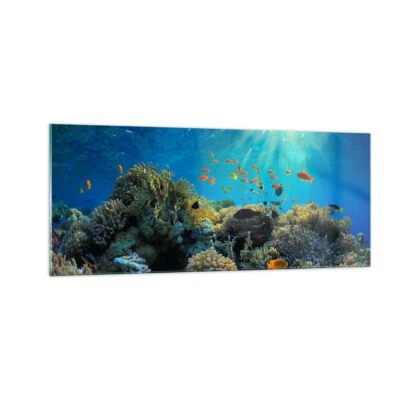 Wandbilder 100x40cm Glasbild Korallenriff Ozean Maritim Bilder Art Wanddeko - Bild 1 von 4