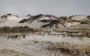 Sanddünen, Cape Cod, Massachusetts, 1950 --POSTKARTE - Bild 1 von 2