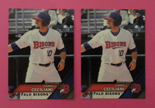 2 - 2017 Choice, Buffalo Bisons - DARRELL CECILIANI
