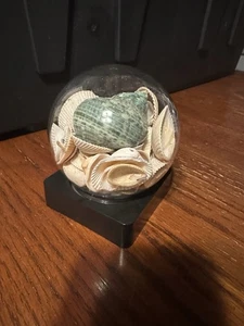 Beemak Plastics Seashell Globe/Beach Sphere Black Square Base, Collectible Shell - Picture 1 of 7