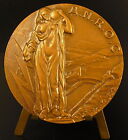Médaille allégorie : l'énergie par l'eau A.N.R.O.C barrage hydroélectrique medal