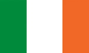 Menge 10 Irland Flagge Gesicht Aufkleber 1011 - 1,5" x 2,5" - Bild 1 von 1