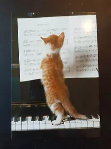 Funny Birthday Card - Picture 1 of 4