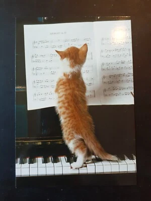 Funny Birthday Card  - Image 1 of 4