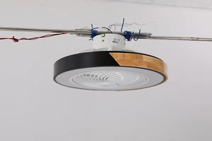 21.6 Inch Ceiling Fan Light with Remote Control Black Ceiling Fan with Light LED - Picture 1 of 4