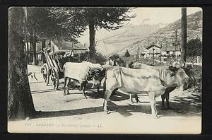 FRANCE 1794-LOURDES -Un attelage Paysan - Picture 1 of 2
