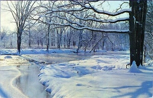 Winter Wonderland Michigan Postkarte unbespielt - Bild 1 von 2