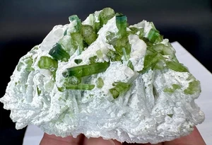 665 CTS Beautiful Blue Cap Tourmaline Crystals On Matrix Specimen From @afg - Picture 1 of 9