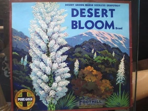 6 GENUINE FRUIT CRATE LABELS VINTAGE West Coast 1930-1940S COLLECTION - Picture 1 of 6