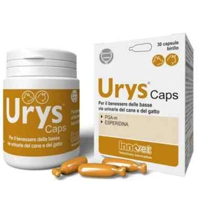Innovet Urys Caps Integratore Vie Urinarie Cane e Gatto 30 Capsule - Foto 1 di 1