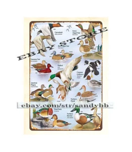 wall decor prints Waterfowl identification chart duck hunting metal tin sign - Picture 1 of 4