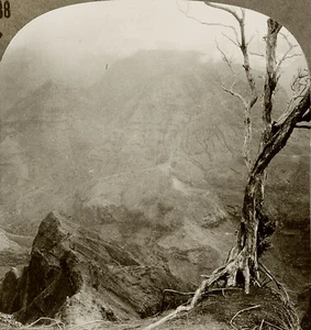 Keystone Stereoview to Tomb of R. L. Stevenson, Samoa From 600/1200 Set #1038 T2 - Picture 1 of 3